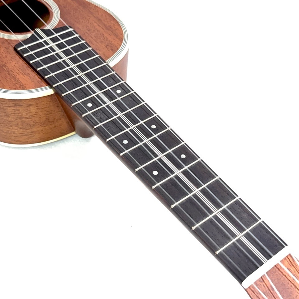 ��KIWAYA��KTS-7f ���ץ�Υ�����