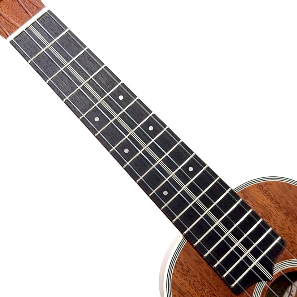 ��KIWAYA��KTS-7f ���ץ�Υ�����