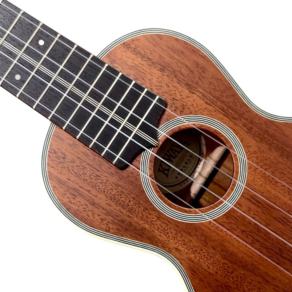 ��KIWAYA��KTS-7f ���ץ�Υ�����