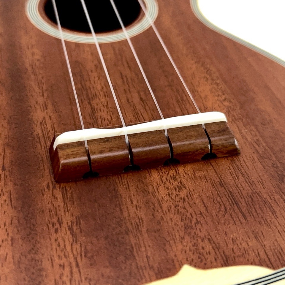 ��KIWAYA��KTS-7f ���ץ�Υ�����