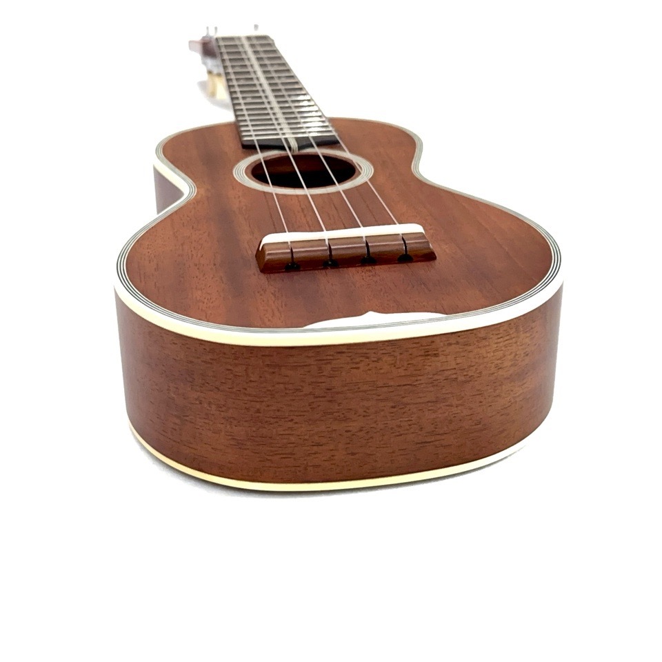 ��KIWAYA��KTS-7f ���ץ�Υ�����