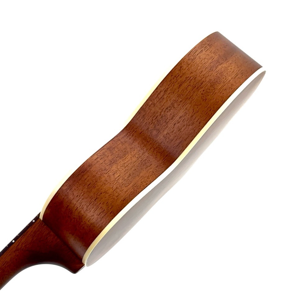 ��KIWAYA��KTS-7f ���ץ�Υ�����