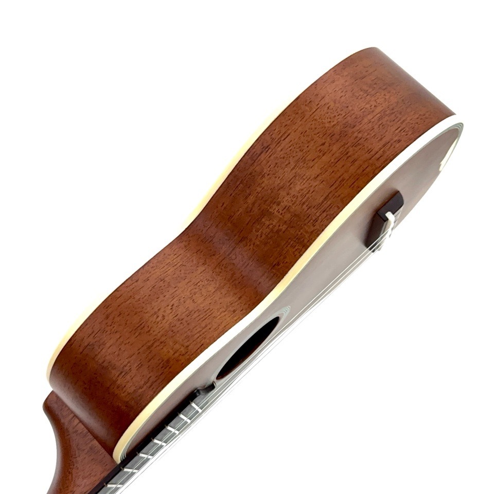 ��KIWAYA��KTS-7f ���ץ�Υ�����