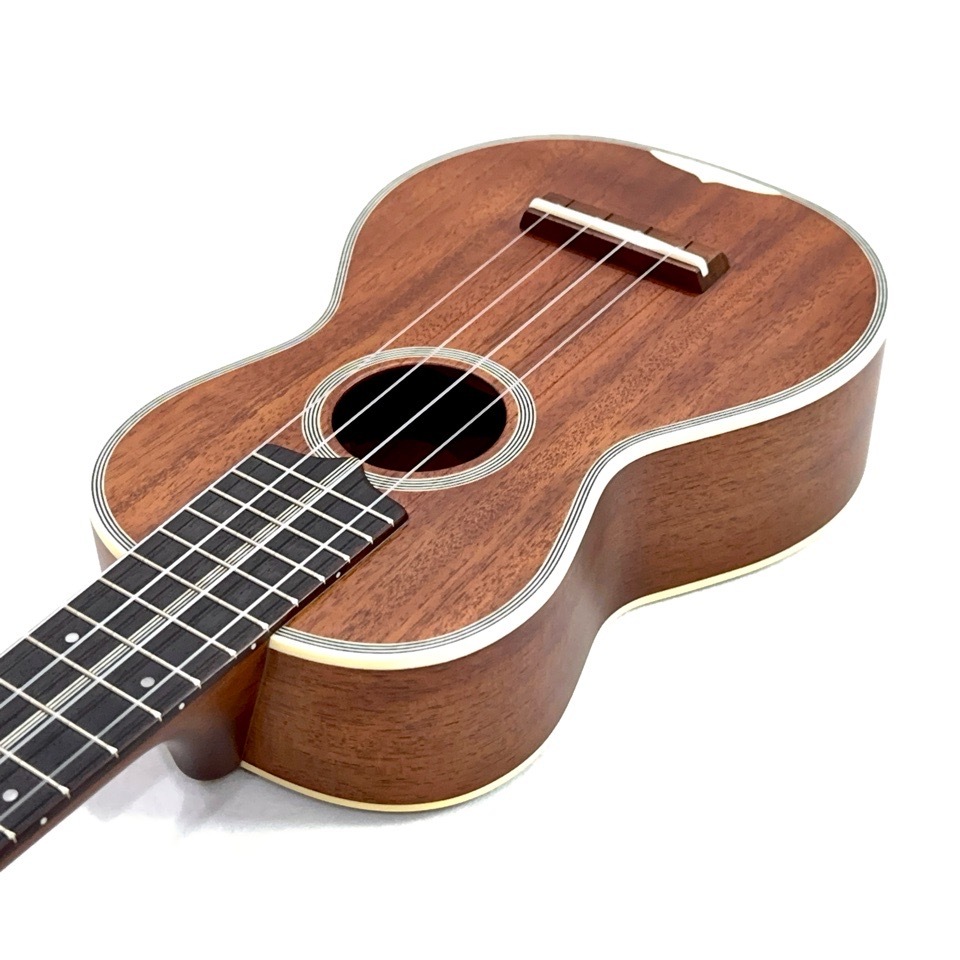 ��KIWAYA��KTS-7f ���ץ�Υ�����