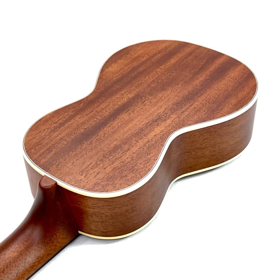 ��KIWAYA��KTS-7f ���ץ�Υ�����