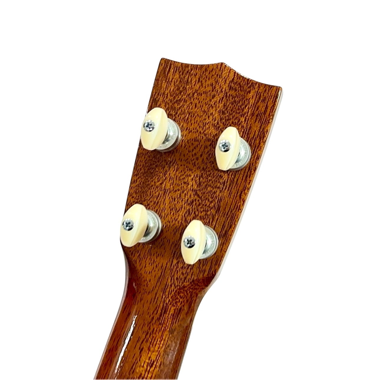 USED��tkitki��ECO-S+/Maple1P ���ץ�Υ�����