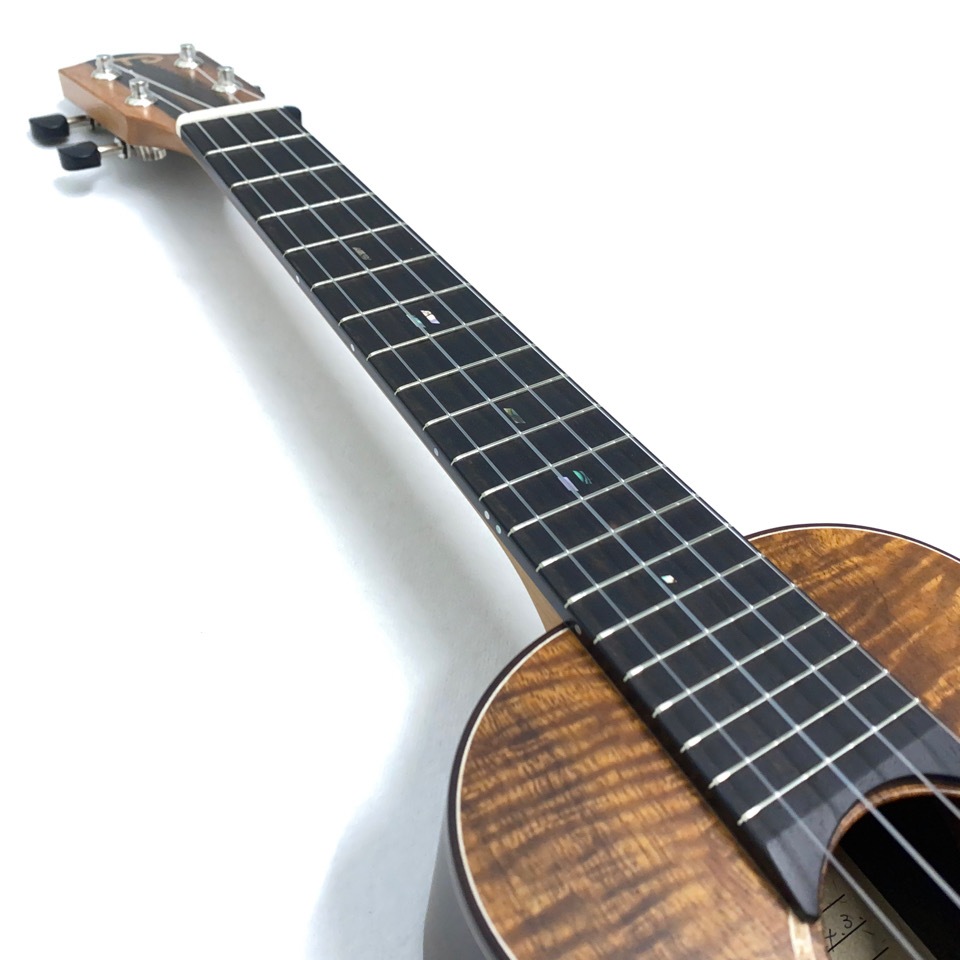 TODA GUITARSVC No.723󥵡ȥ