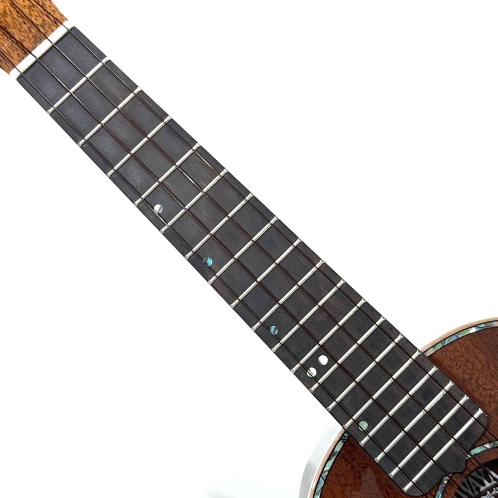 ��KIWAYA��KPC-5M ���󥵡��ȥ�����