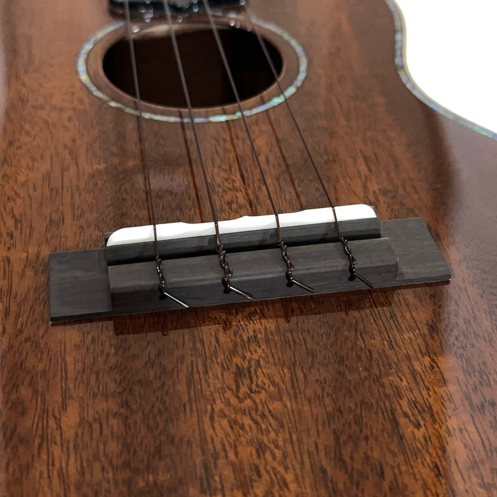 ��KIWAYA��KPC-5M ���󥵡��ȥ�����