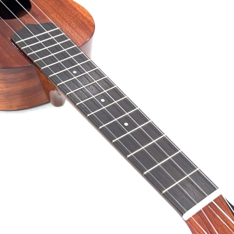 ��KIWAYA��KTS-3 ���ץ�Υ�����