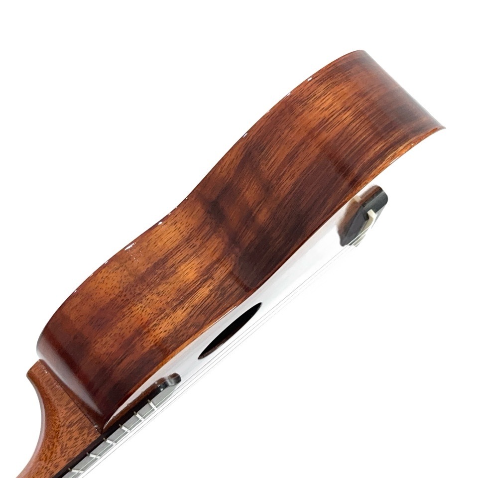 ��KIWAYA��KTS-3 ���ץ�Υ�����