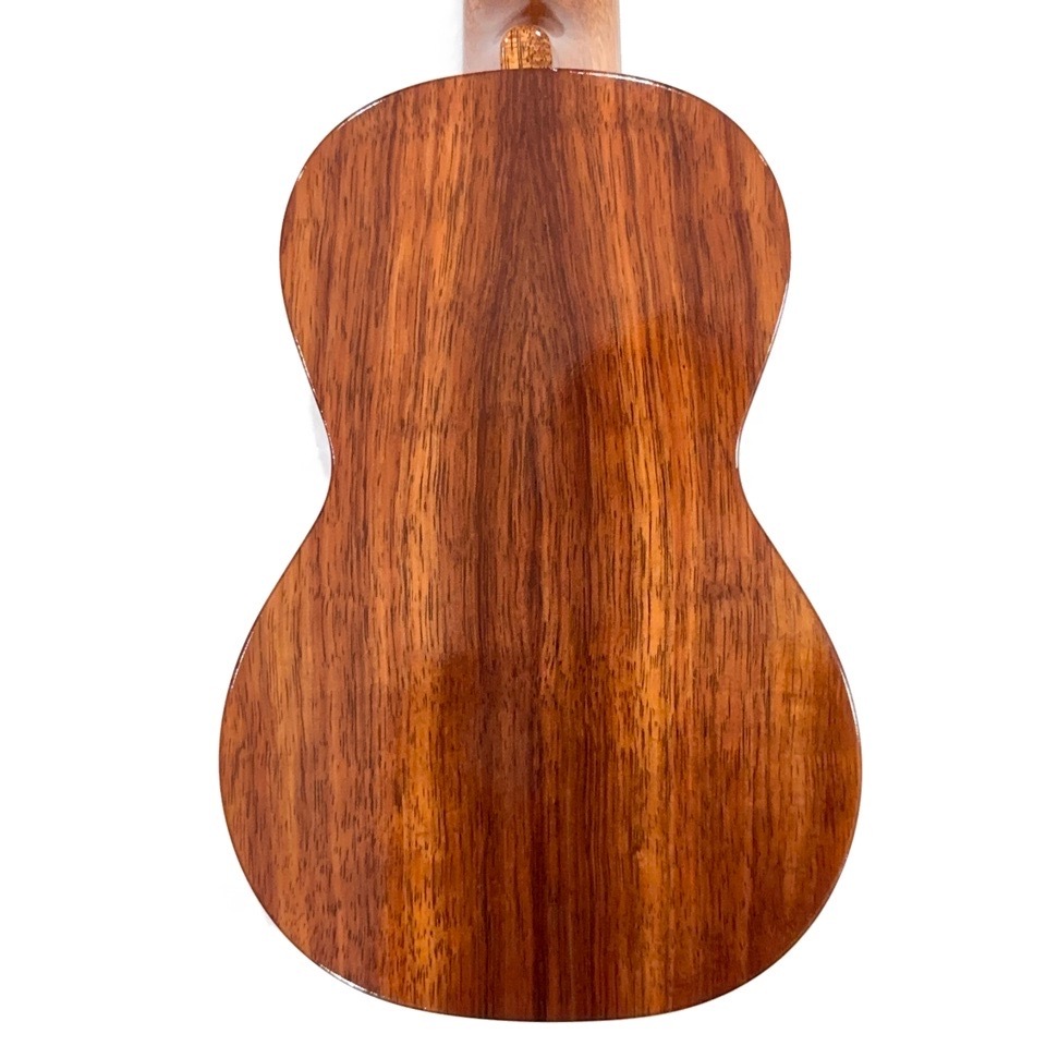 ��KIWAYA��KTS-3 ���ץ�Υ�����