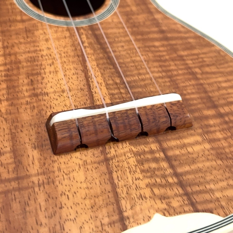 ��KIWAYA��KMS-K ���ץ�Υ�����