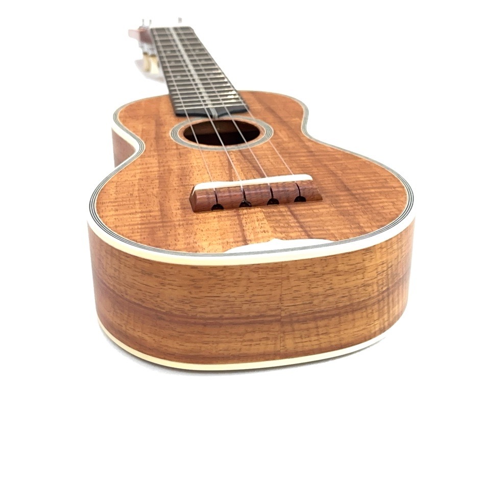 ��KIWAYA��KMS-K ���ץ�Υ�����