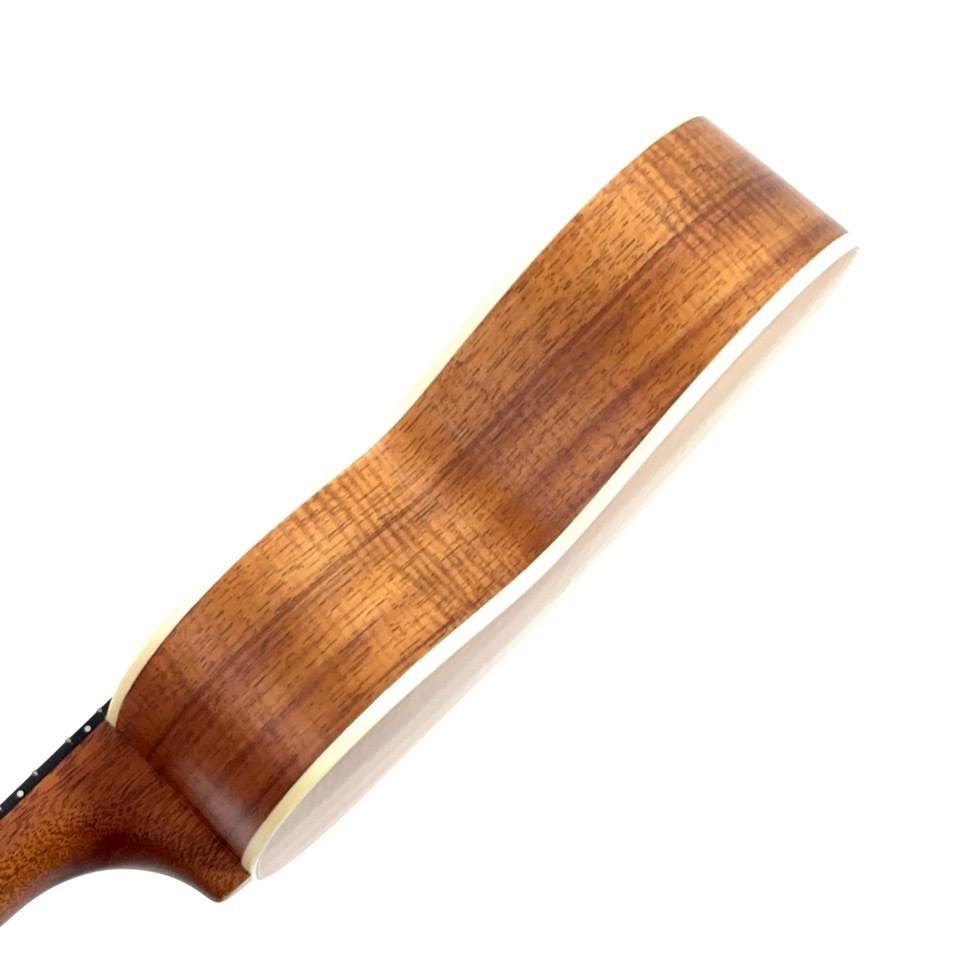 ��KIWAYA��KMS-K ���ץ�Υ�����