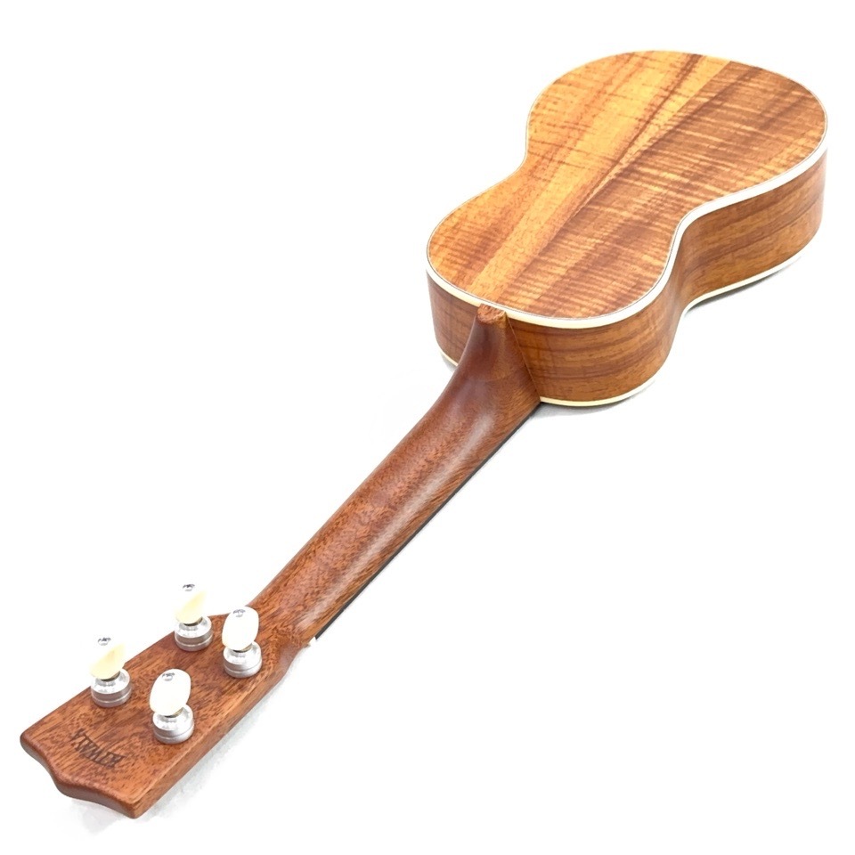 ��KIWAYA��KMS-K ���ץ�Υ�����