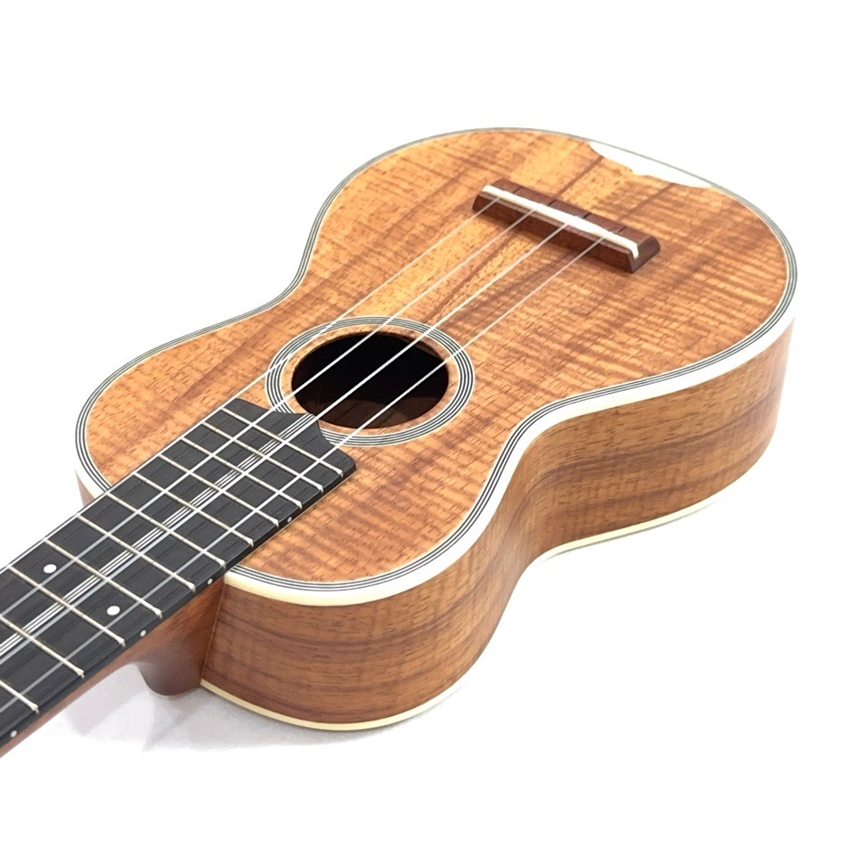 ��KIWAYA��KMS-K ���ץ�Υ�����