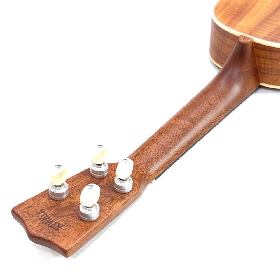 ��KIWAYA��KMS-K ���ץ�Υ�����