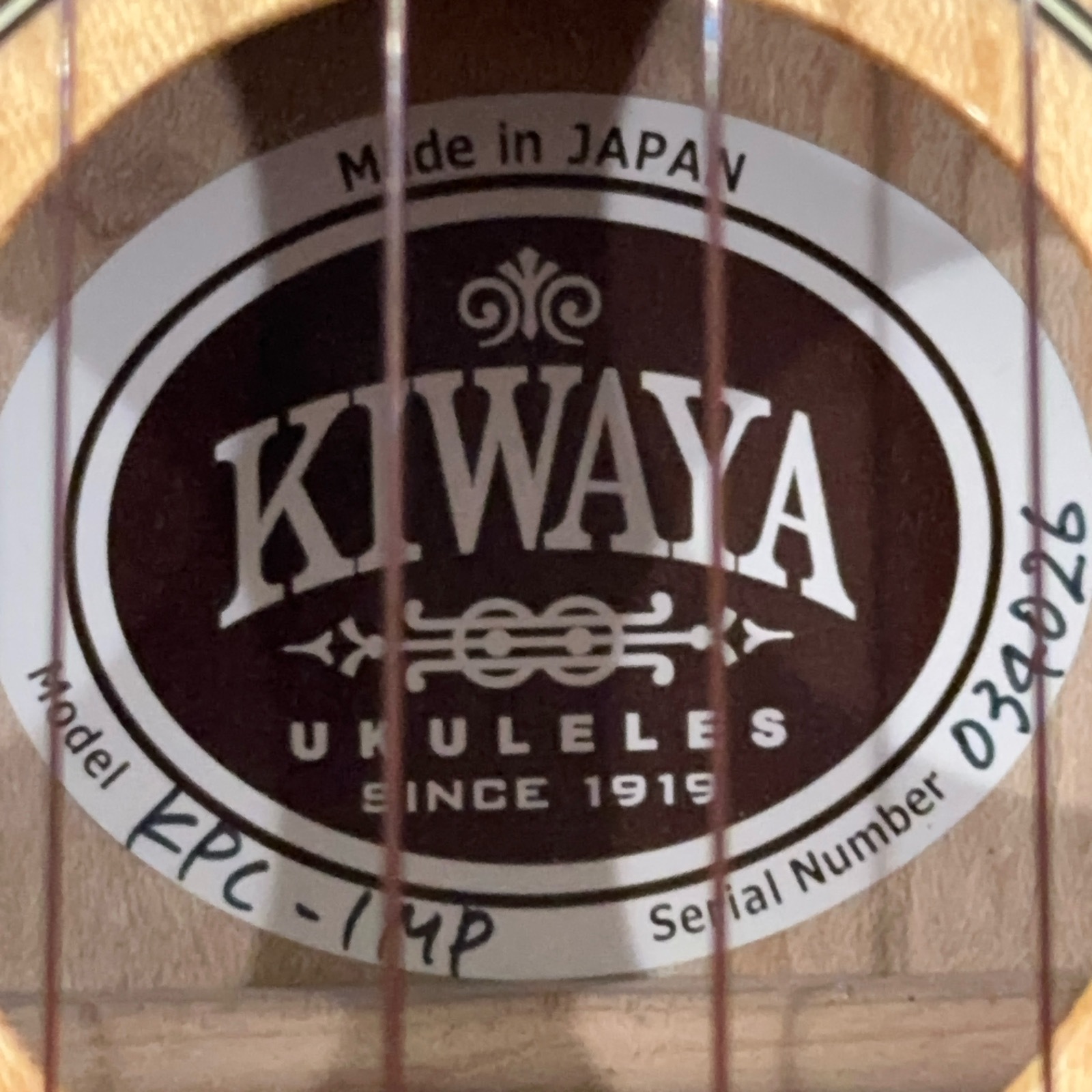 ��KIWAYA��KPC-1MP ���󥵡��ȥ�����