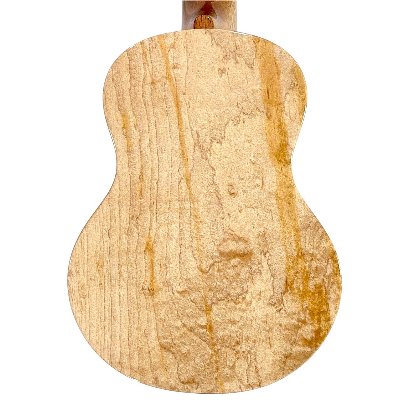 ��KIWAYA��KPC-1MP ���󥵡��ȥ�����