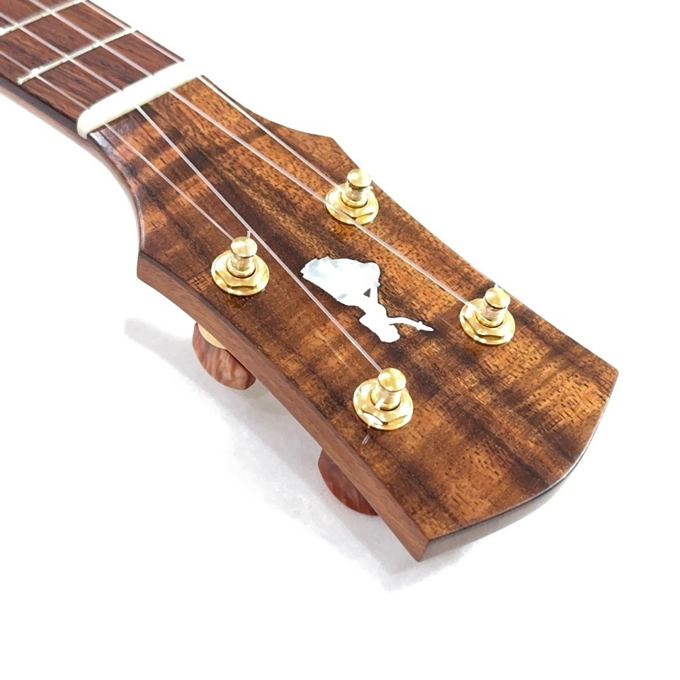 Koichitani UkuleleNo.106 󥵡ȥ