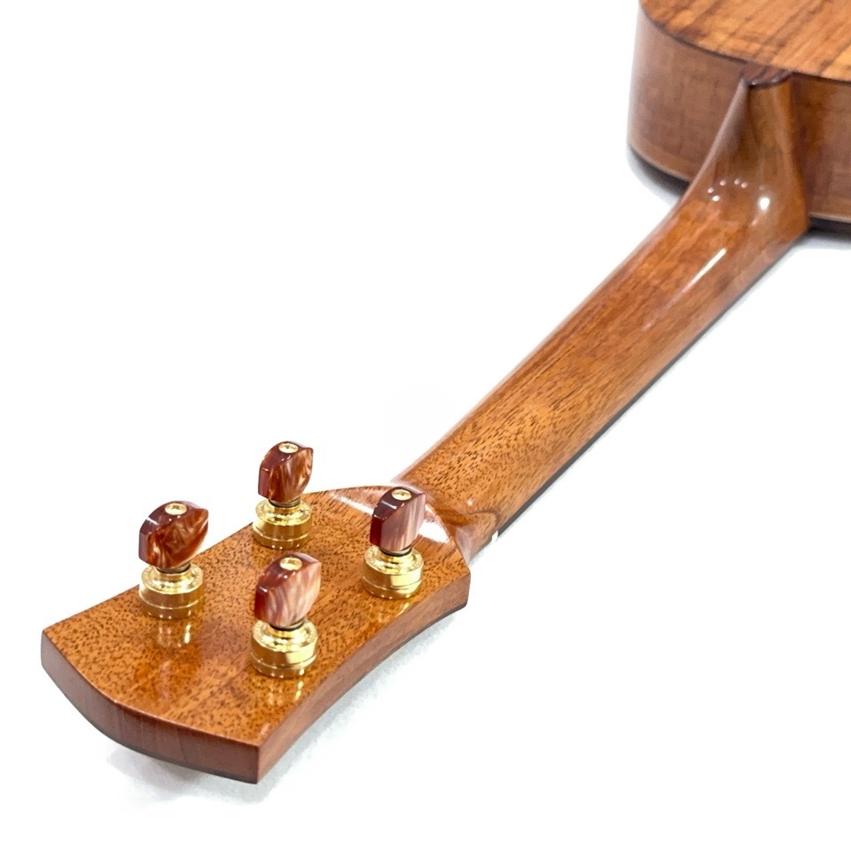 Koichitani UkuleleNo.106 󥵡ȥ