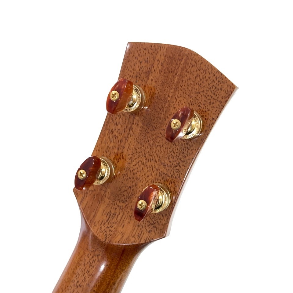 Koichitani UkuleleNo.106 󥵡ȥ