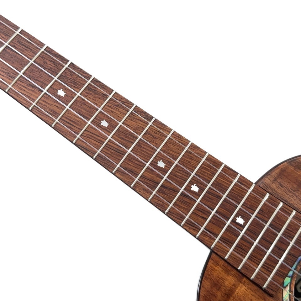 Koichitani UkuleleNo.106 󥵡ȥ