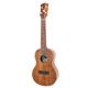 Koichitani UkuleleNo.106 󥵡ȥ