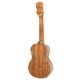 Koichitani UkuleleNo.106 󥵡ȥ