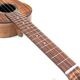 Koichitani UkuleleNo.106 󥵡ȥ