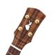 Koichitani UkuleleNo.106 󥵡ȥ