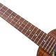 Koichitani UkuleleNo.106 󥵡ȥ