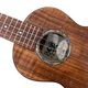 Koichitani UkuleleNo.106 󥵡ȥ