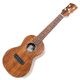 Koichitani UkuleleNo.106 󥵡ȥ