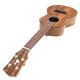 Koichitani UkuleleNo.106 󥵡ȥ