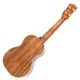Koichitani UkuleleNo.106 󥵡ȥ