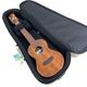 Koichitani UkuleleNo.106 󥵡ȥ