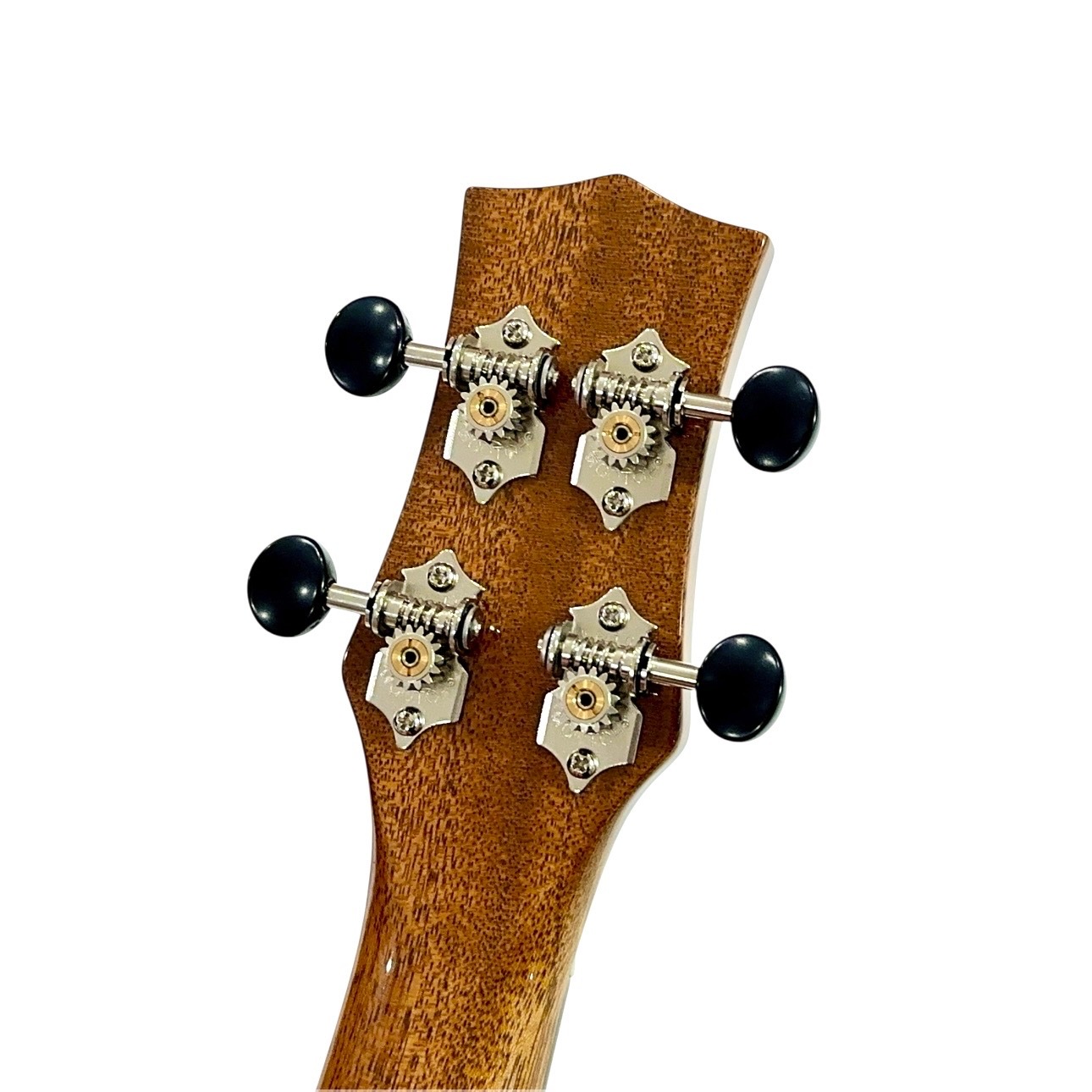 ��KIWAYA��KPS-1MP ���ץ�Υ�����