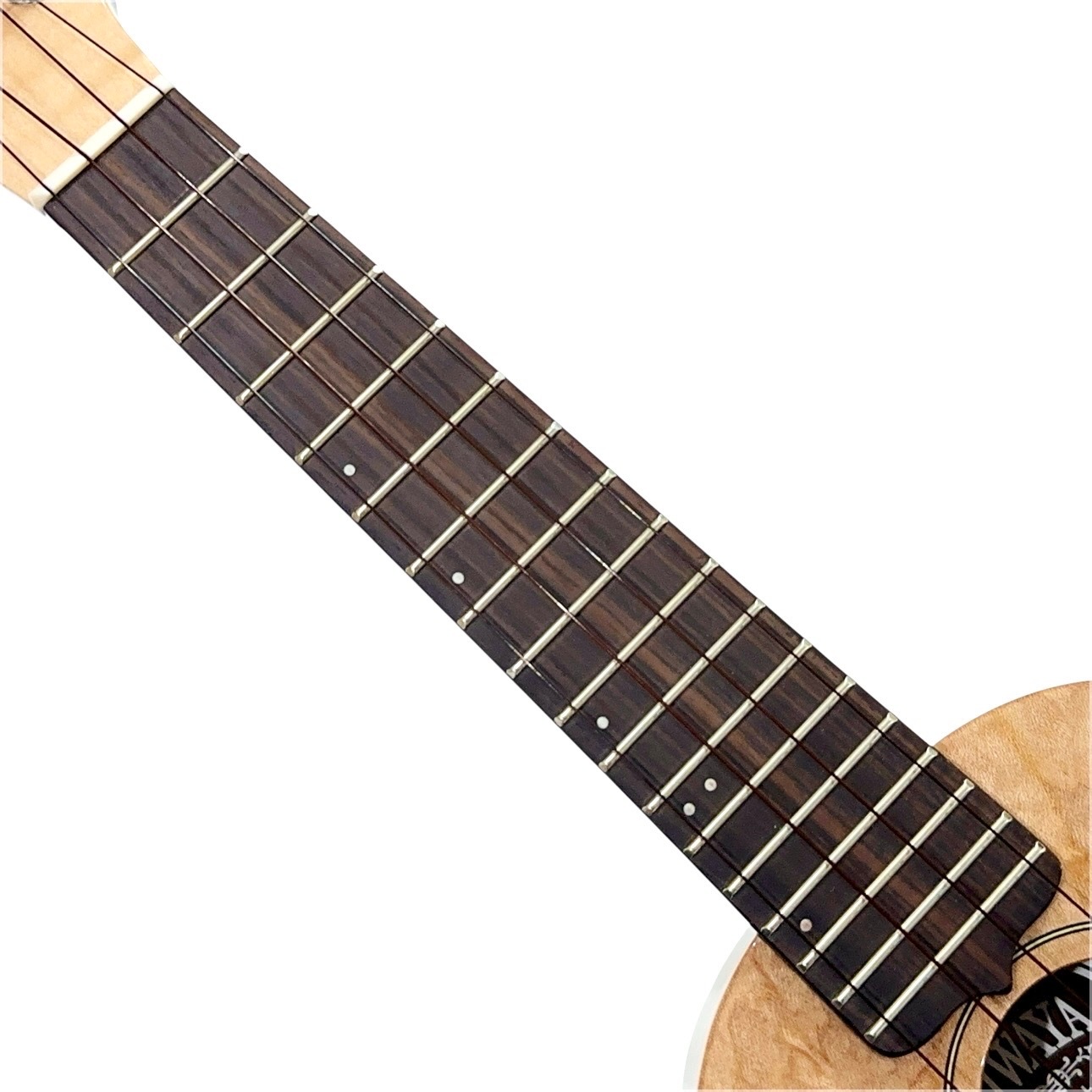 ��KIWAYA��KPS-1MP ���ץ�Υ�����