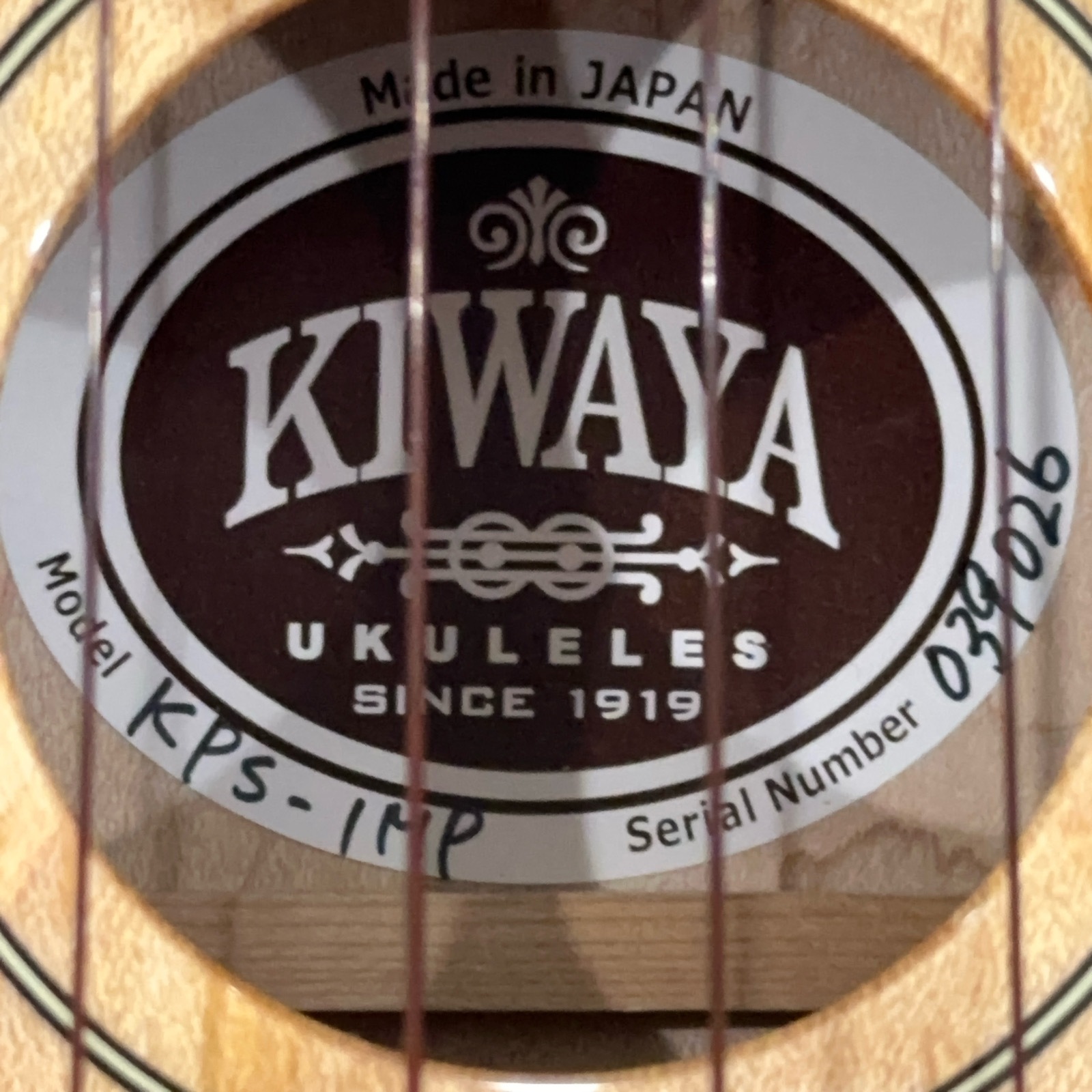 ��KIWAYA��KPS-1MP ���ץ�Υ�����