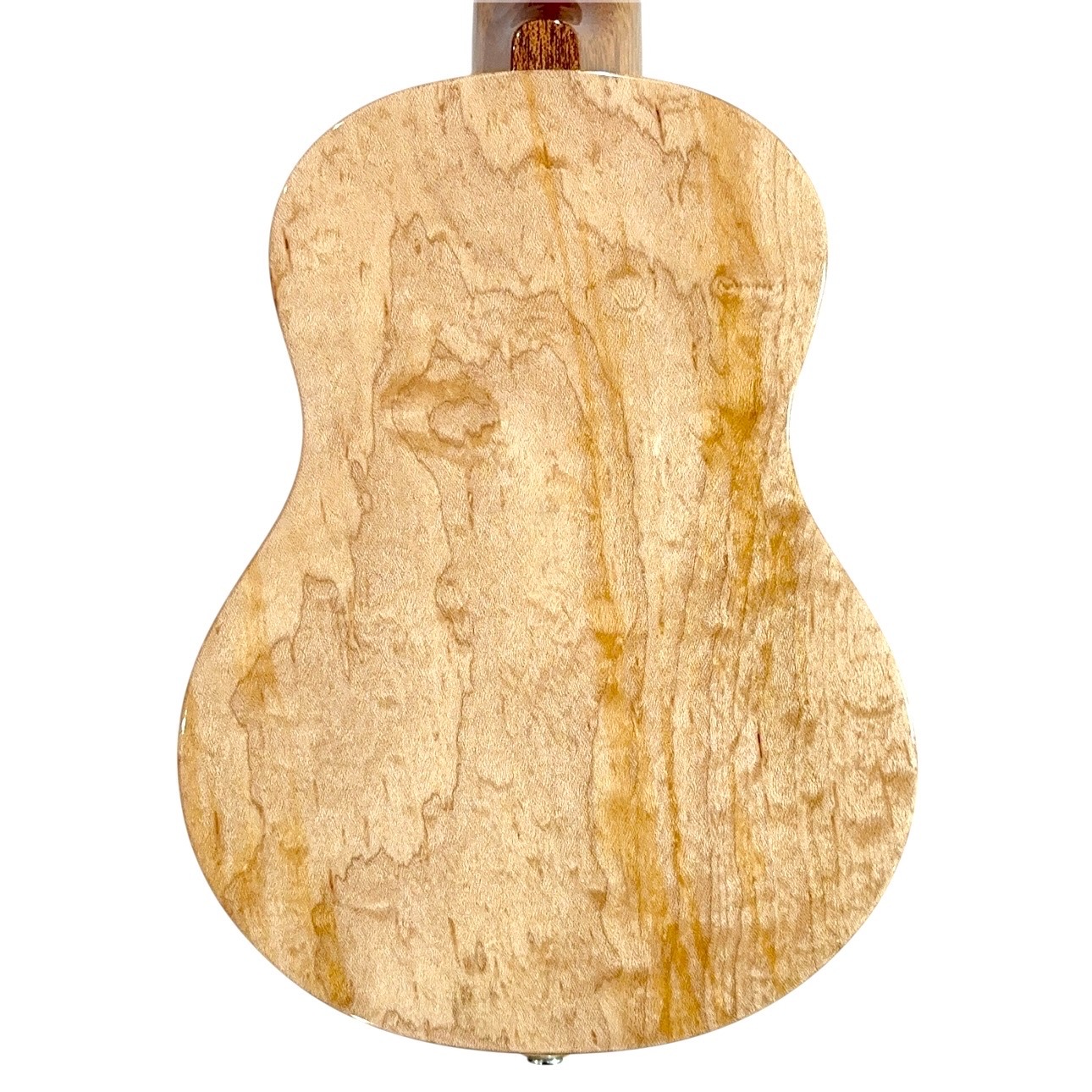 ��KIWAYA��KPS-1MP ���ץ�Υ�����