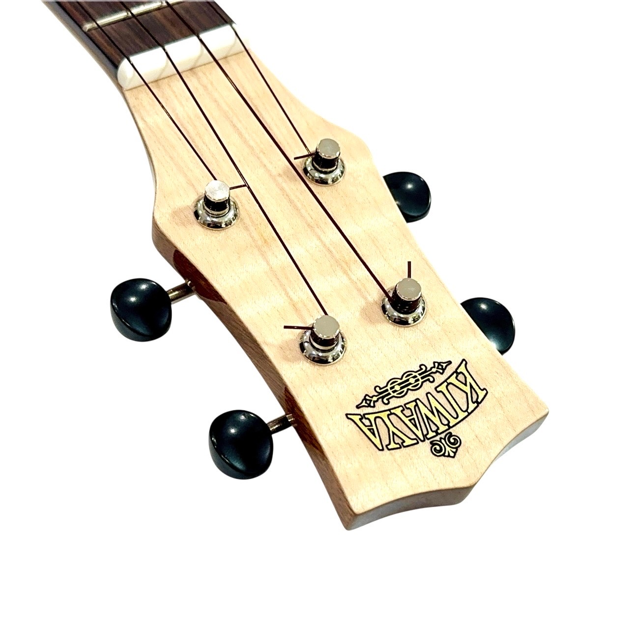 ��KIWAYA��KPS-1MP ���ץ�Υ�����