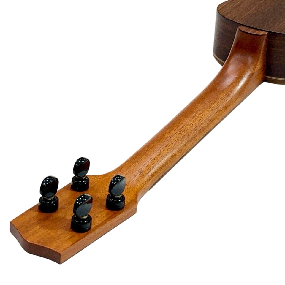 ڻ͸ˡMS381 #24420 ץΥ󥰥ͥå