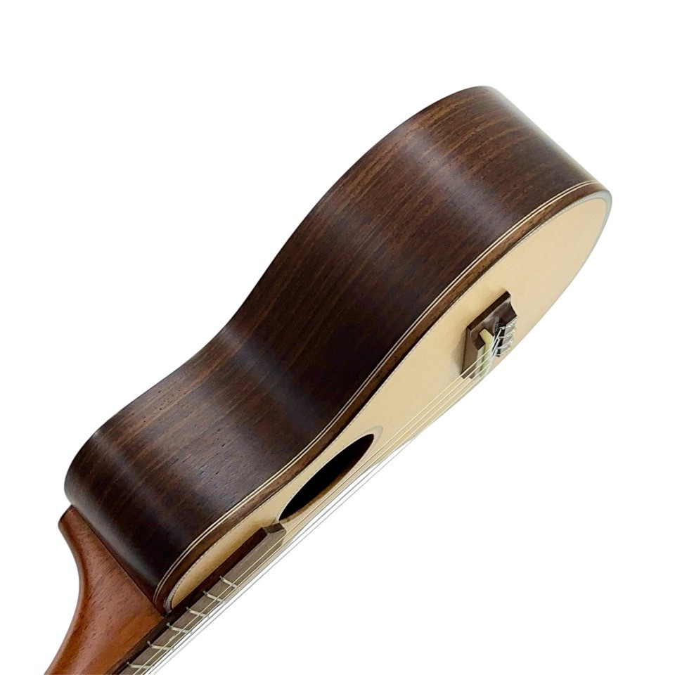 ڻ͸ˡMS381 #24420 ץΥ󥰥ͥå