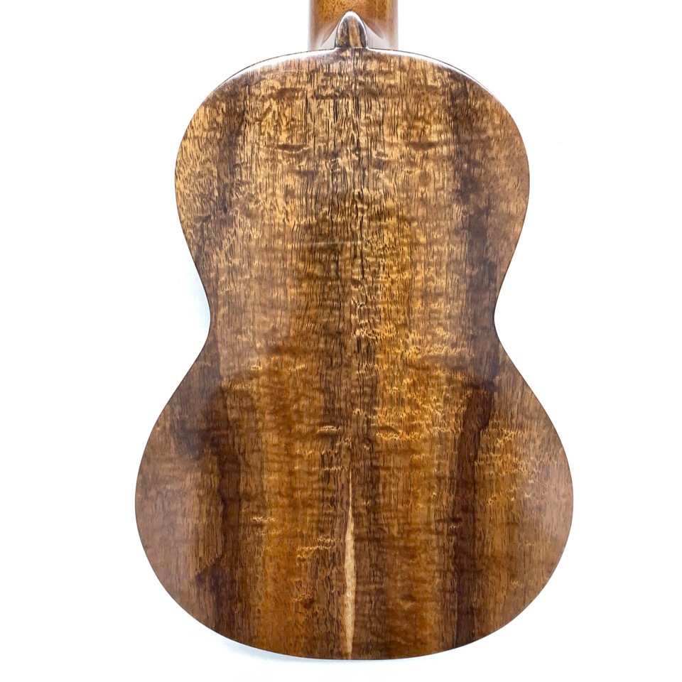 Koichitani UkuleleNo.107 󥵡ȥ