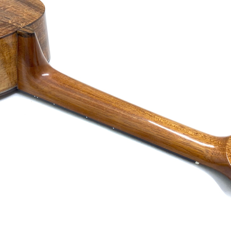 Koichitani UkuleleNo.107 󥵡ȥ