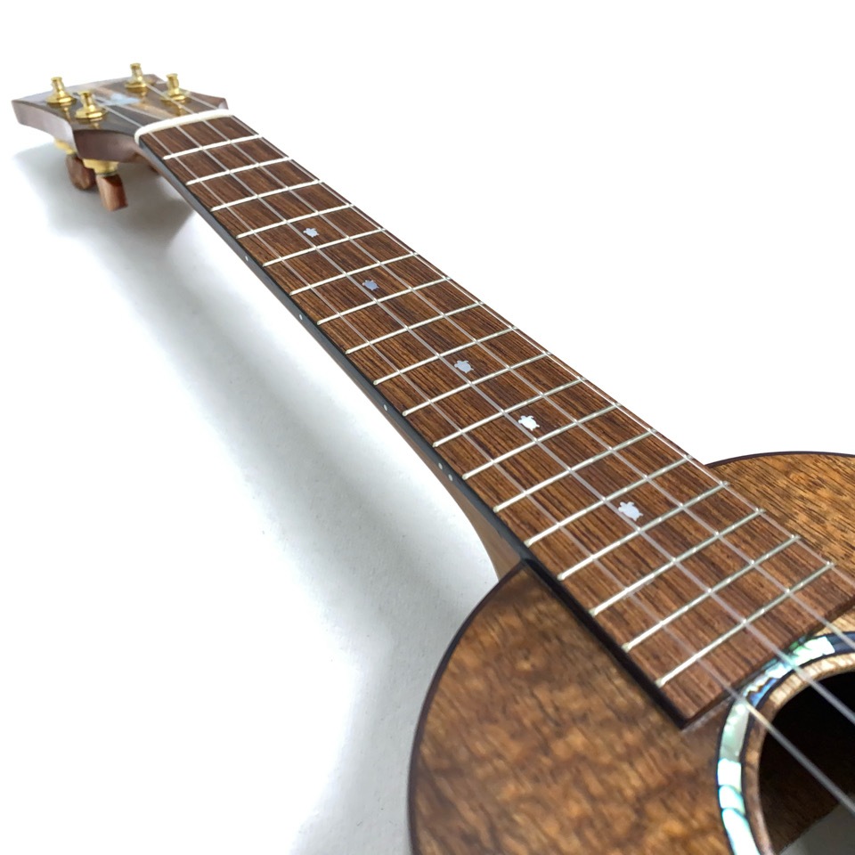 Koichitani UkuleleNo.107 󥵡ȥ