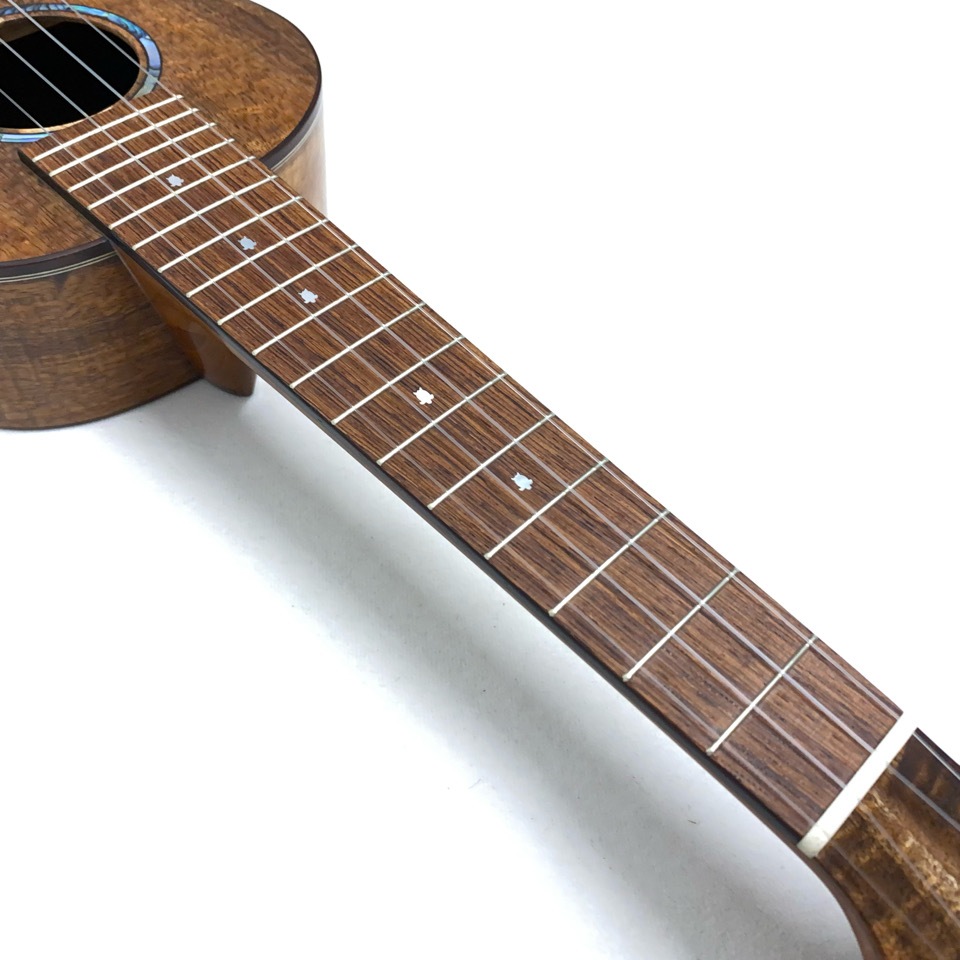 Koichitani UkuleleNo.107 󥵡ȥ