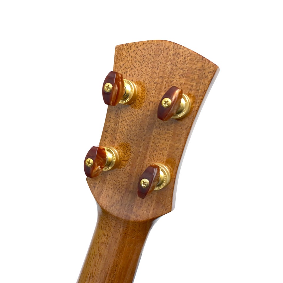 Koichitani UkuleleNo.107 󥵡ȥ